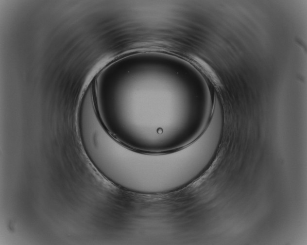 X0000093361196200710111449