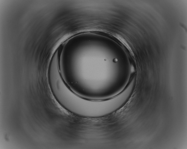 X0000093361197200710111449