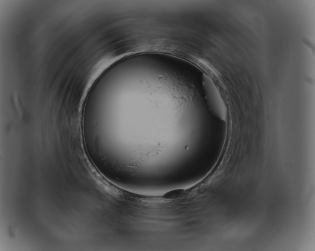 X0000093361200200710111449