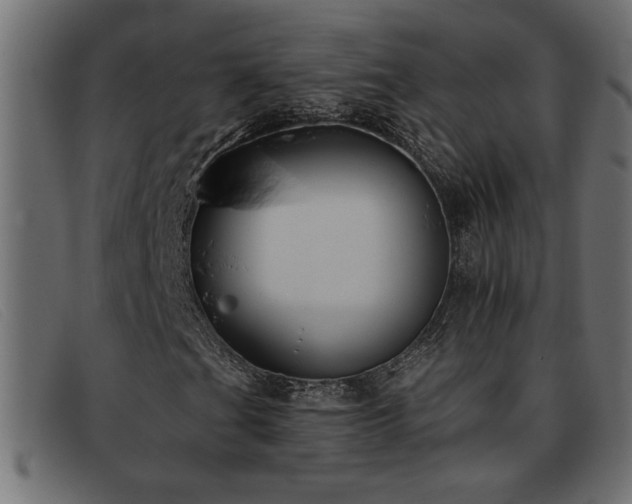 X0000093361201200710111448