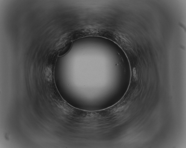 X0000093361203200710111448