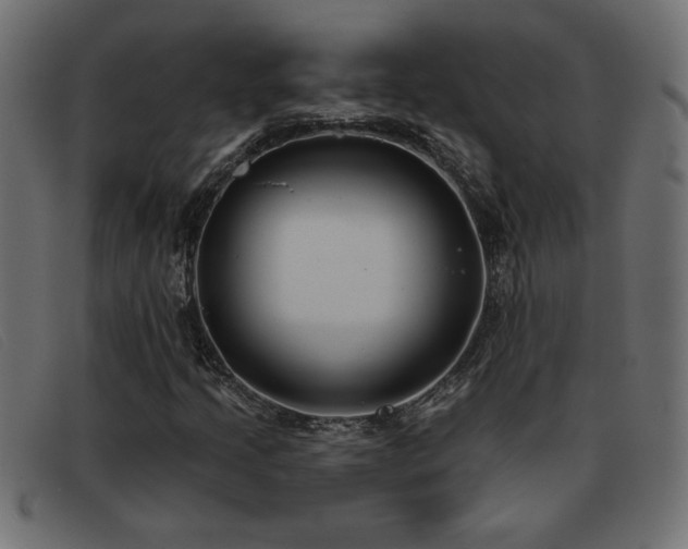 X0000093361205200710111448