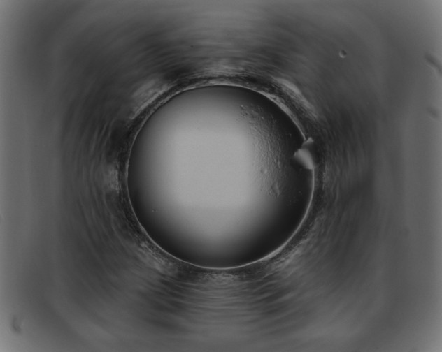 X0000093361209200710111448