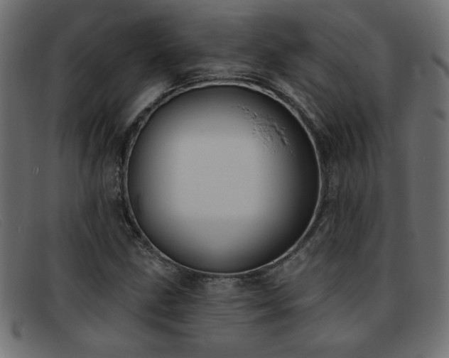 X0000093361211200710111448