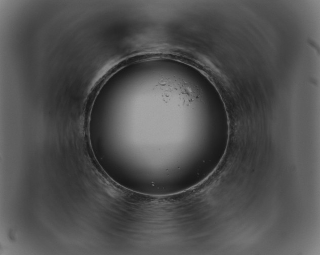 X0000093361216200710111448