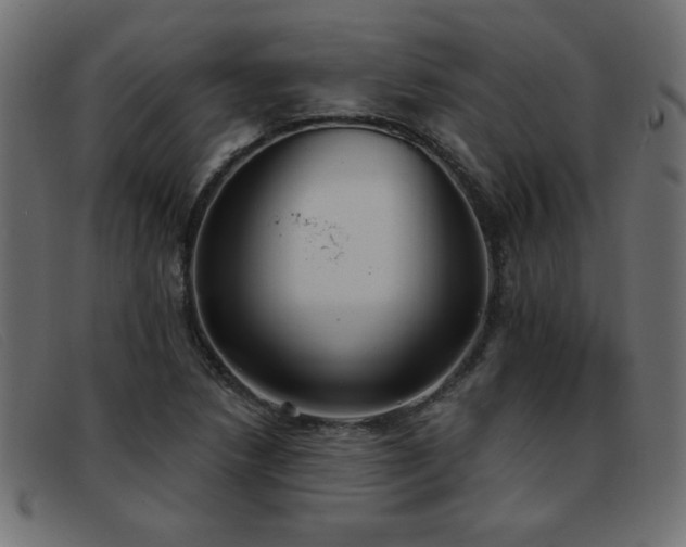 X0000093361218200710111448
