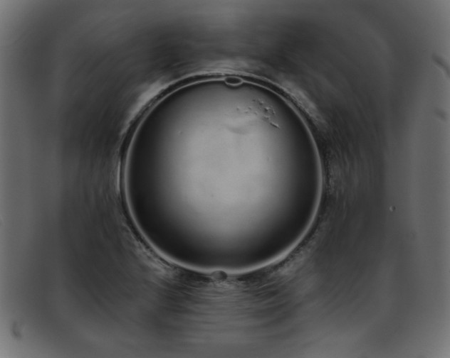 X0000093361224200710111448