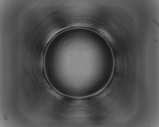 X0000093361228200710111449