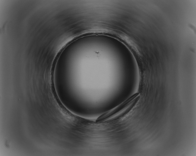 X0000093361229200710111449