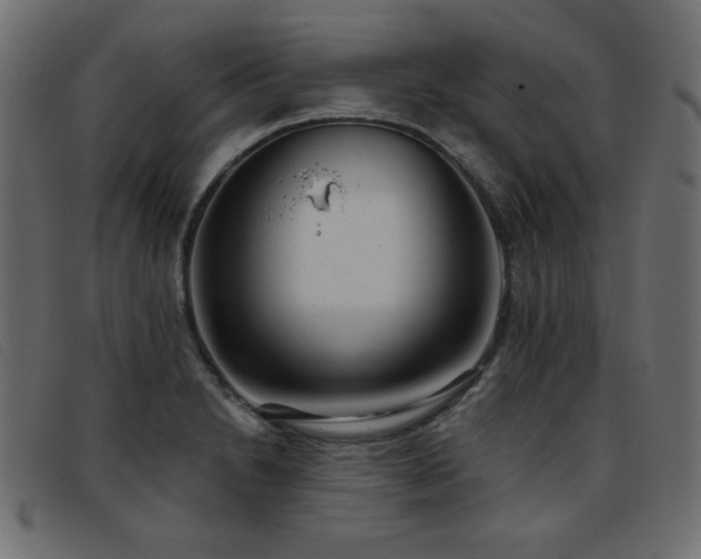 X0000093361230200710111449