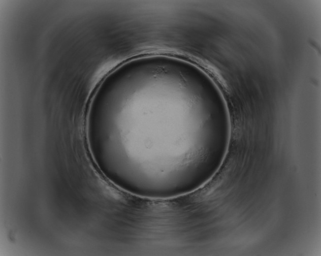 X0000093361231200710111449