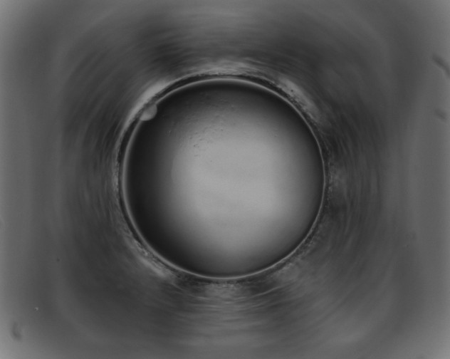 X0000093361232200710111449