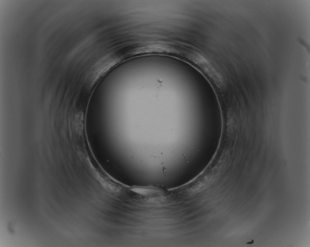 X0000093361233200710111449