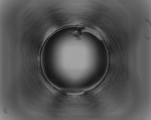 X0000093361234200710111449