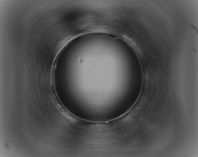 X0000093361236200710111449