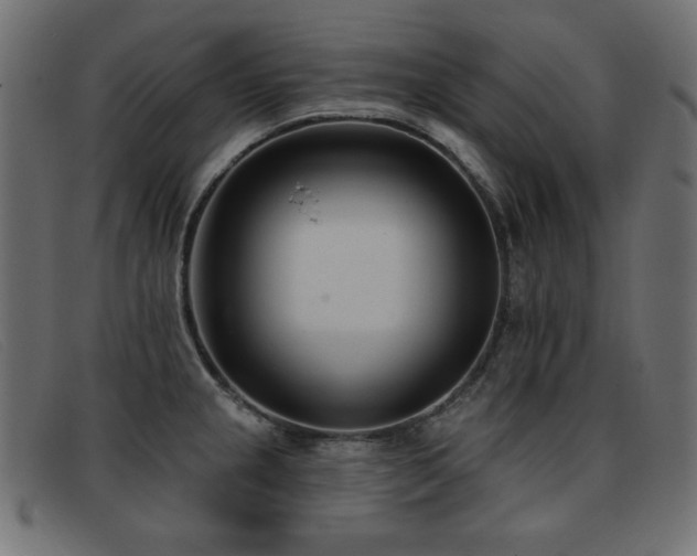 X0000093361237200710111449
