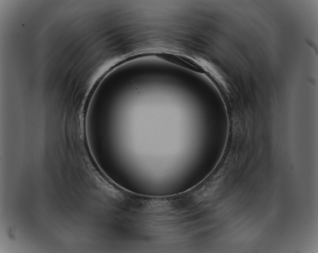 X0000093361238200710111449