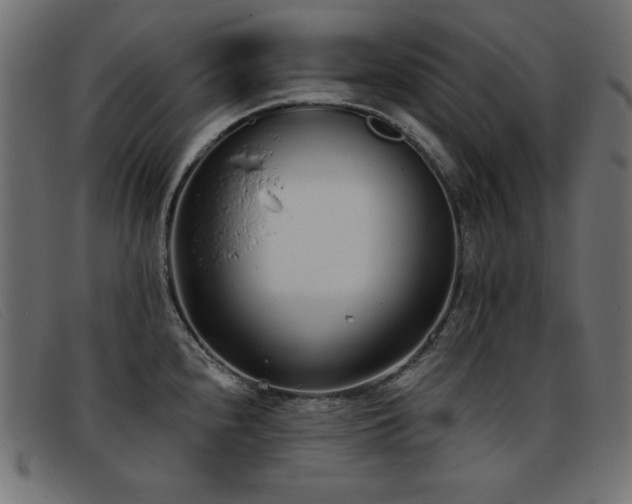X0000093361240200710111449