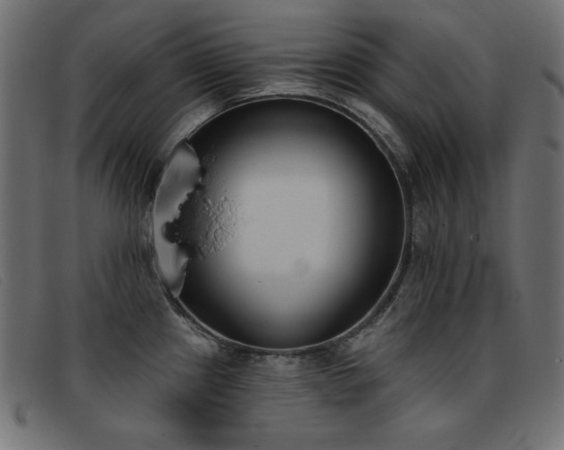 X0000093361241200710111449