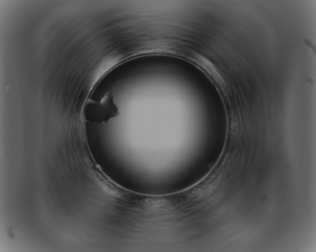 X0000093361242200710111449