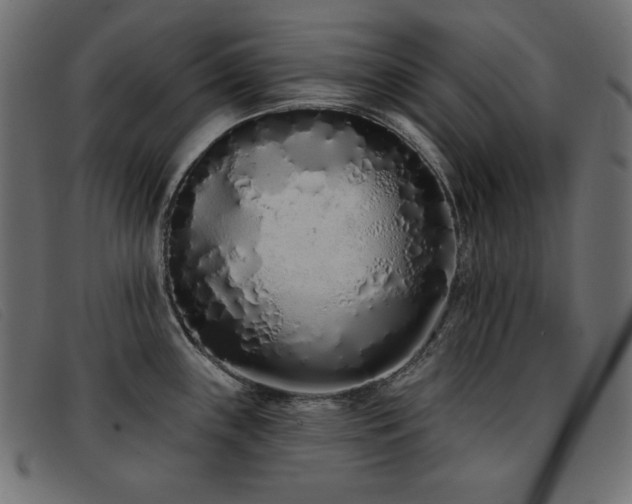 X0000093361243200710111449