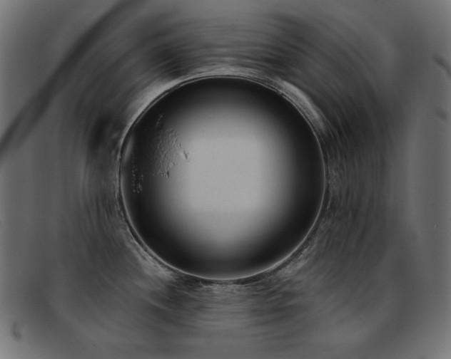 X0000093361244200710111449