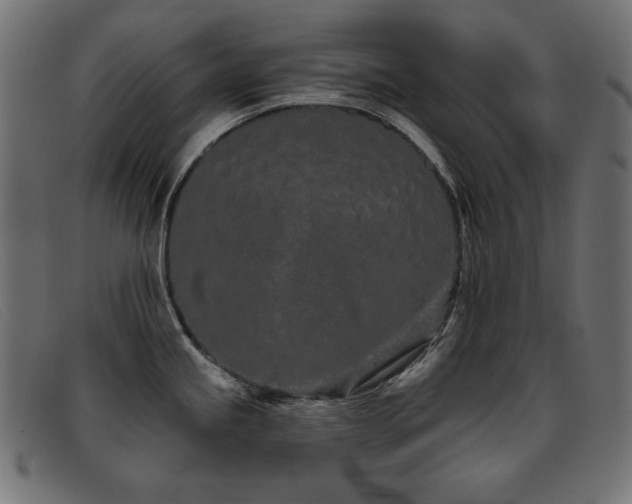 X0000093361245200710111449