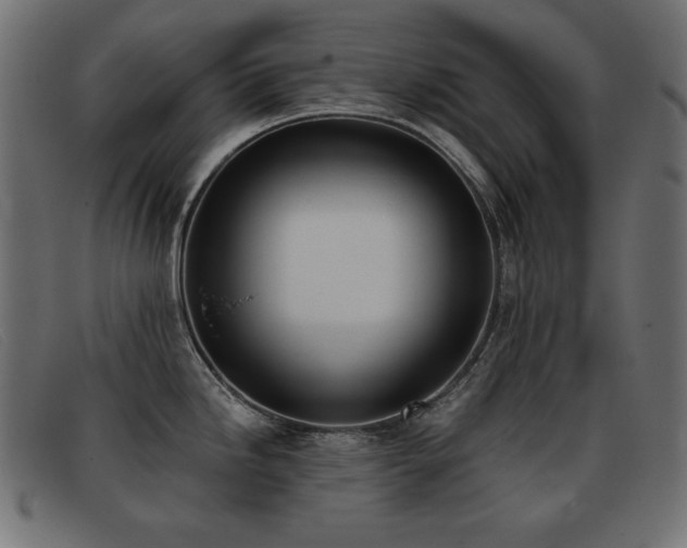 X0000093361246200710111449