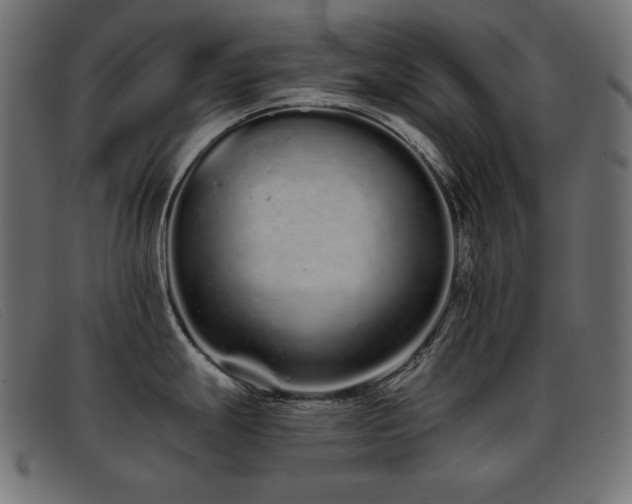 X0000093361247200710111449