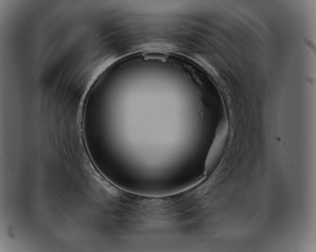 X0000093361248200710111449