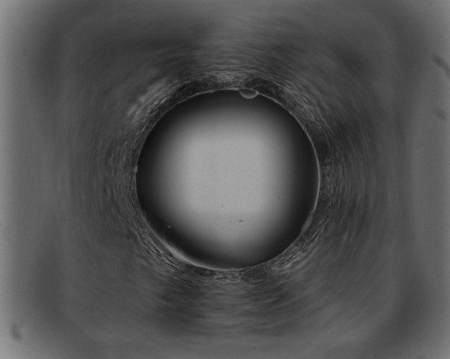 X0000093361249200710111448