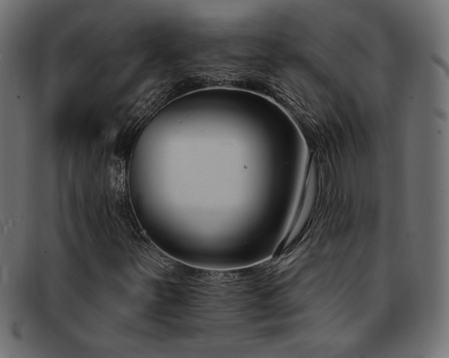 X0000093361251200710111448