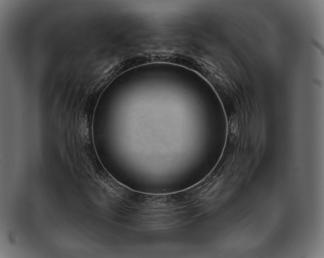 X0000093361252200710111448