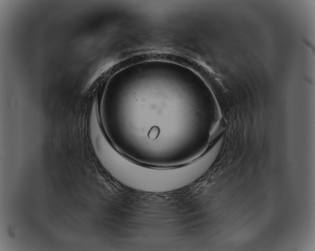 X0000093361255200710111448