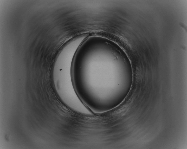 X0000093361257200710111448