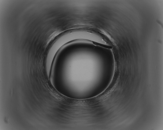 X0000093361259200710111448