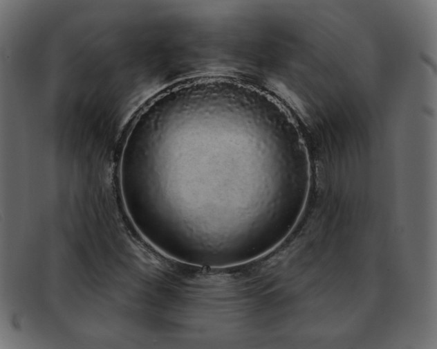 X0000093361260200710111448