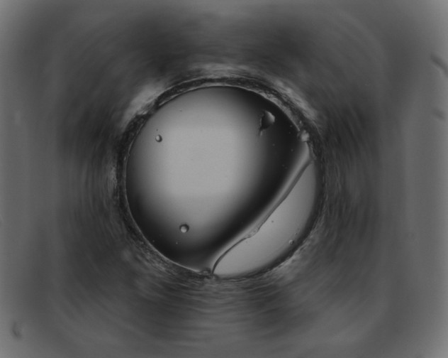 X0000093361261200710111448