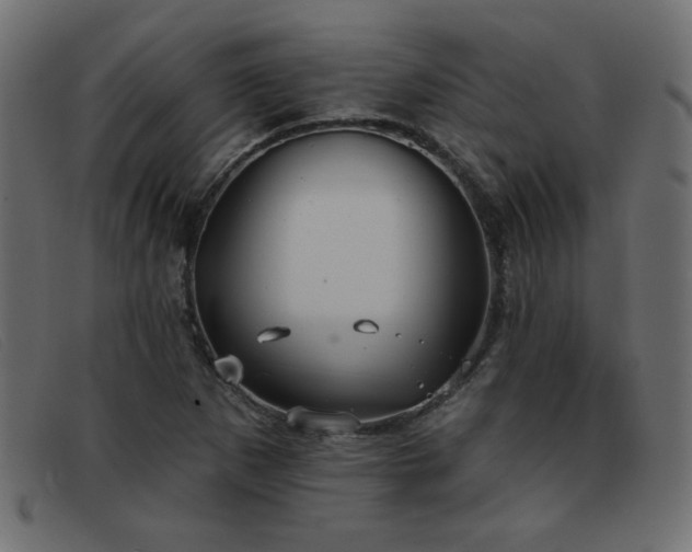 X0000093361265200710111448