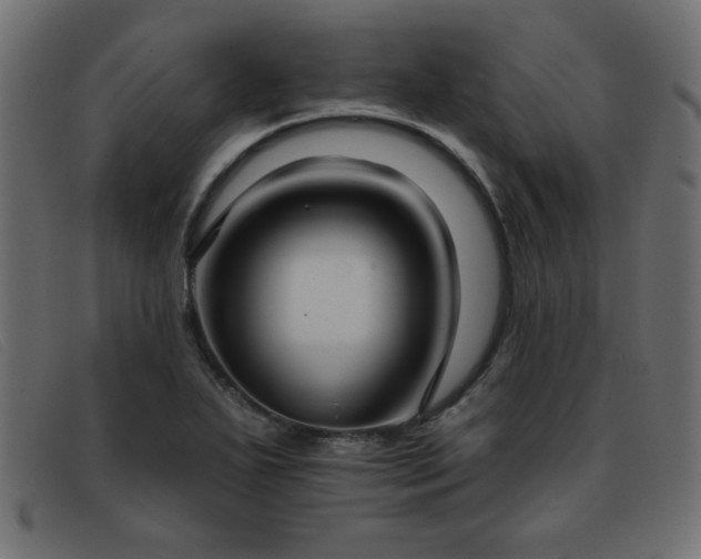 X0000093361271200710111448