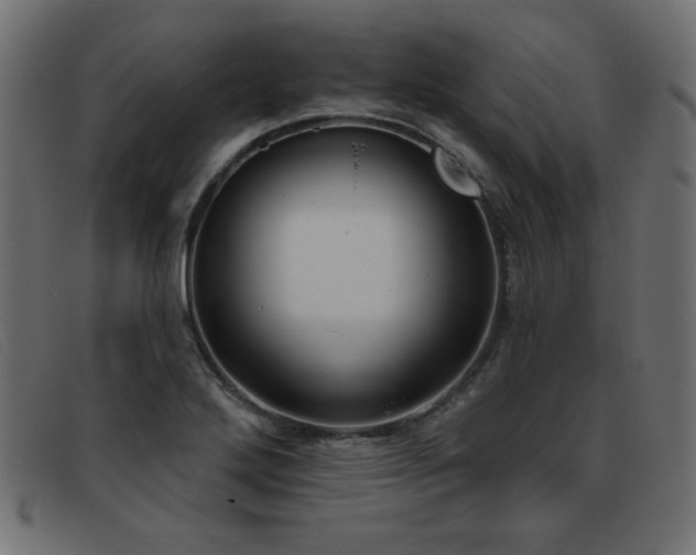 X0000093361272200710111448