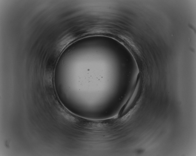 X0000093361273200710111448