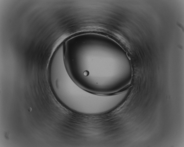 X0000093361275200710111448
