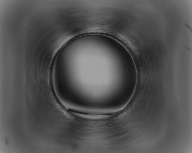 X0000093361277200710111448