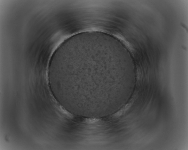 X0000093361278200710111448