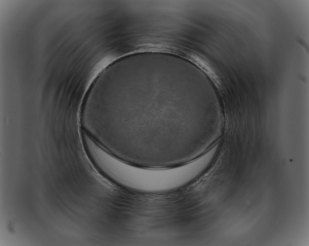 X0000093361283200710111448