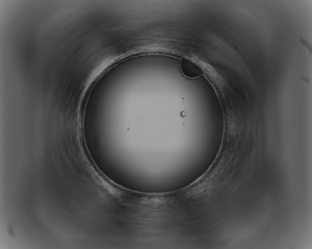 X0000093361286200710111448