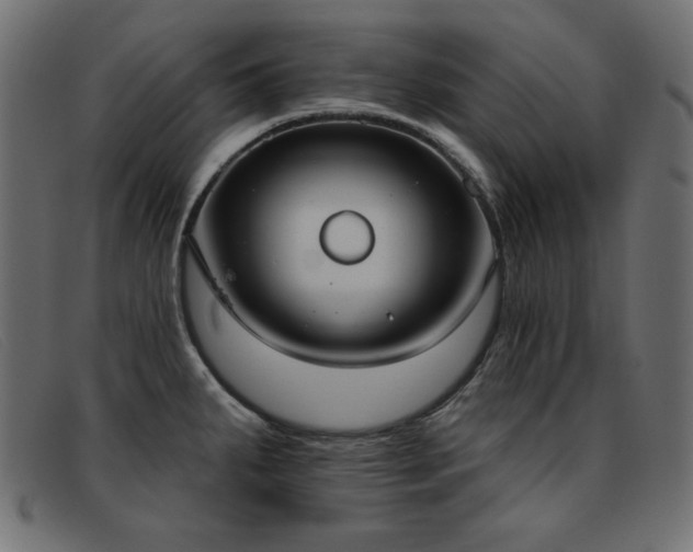 X0000093361287200710111448