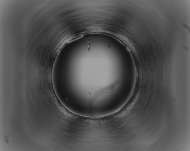 X0000093361289200710111448