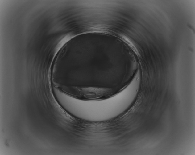 X0000093361291200710111448